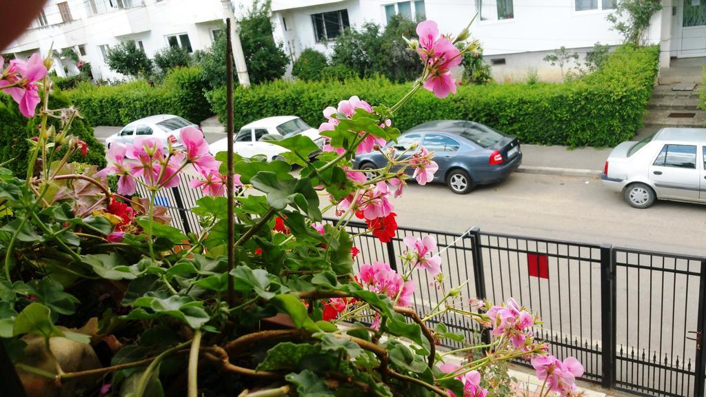 Lucas 38 Apartments Cluj-Napoca Eksteriør bilde